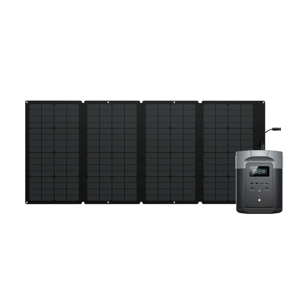 Generador solar EcoFlow DELTA 2 Max (FV 160 W)