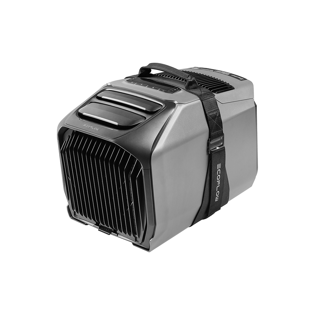 Asa de agarre de velcro EcoFlow