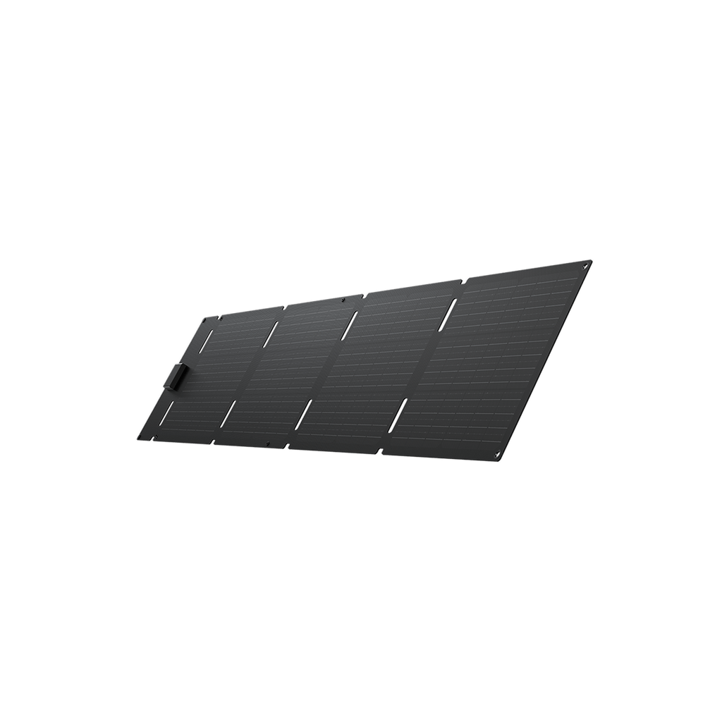 Panel solar portátil EcoFlow de 60 W