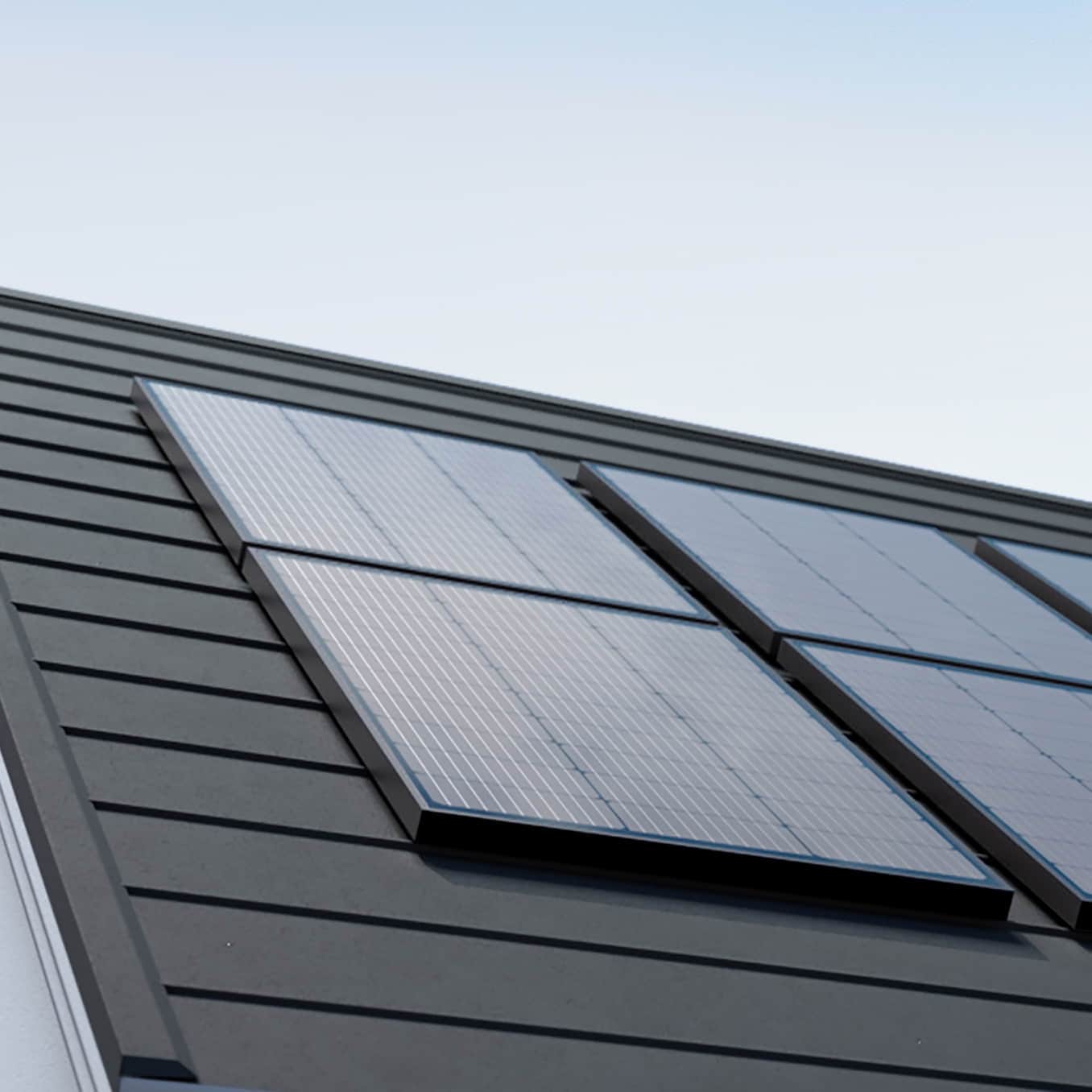Panel Solar Rígido EcoFlow de 100W  (2 unidades)